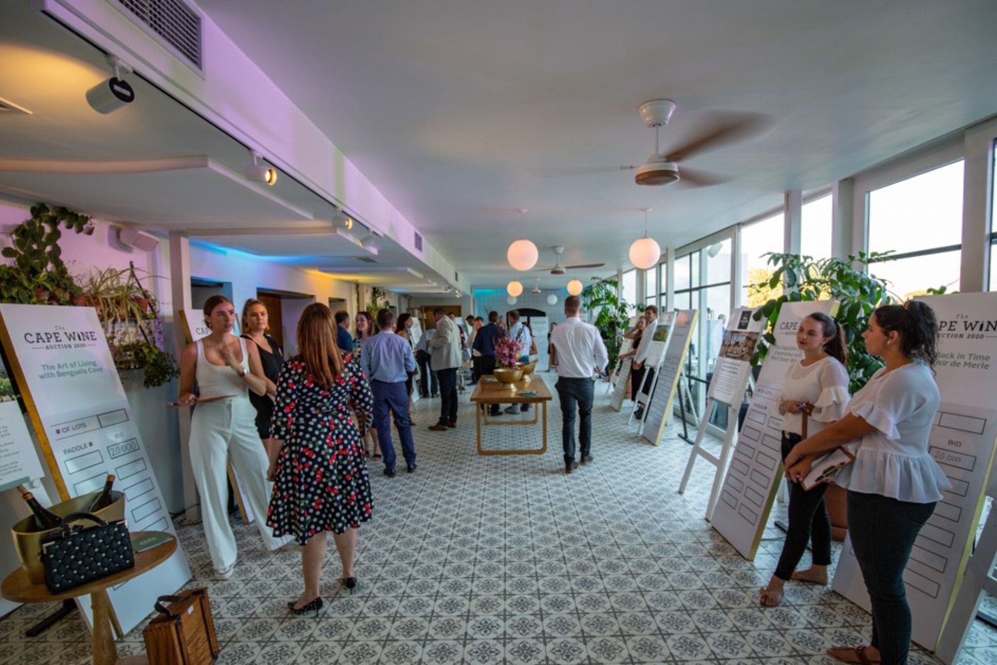 Cape Wine Auction Results 2024