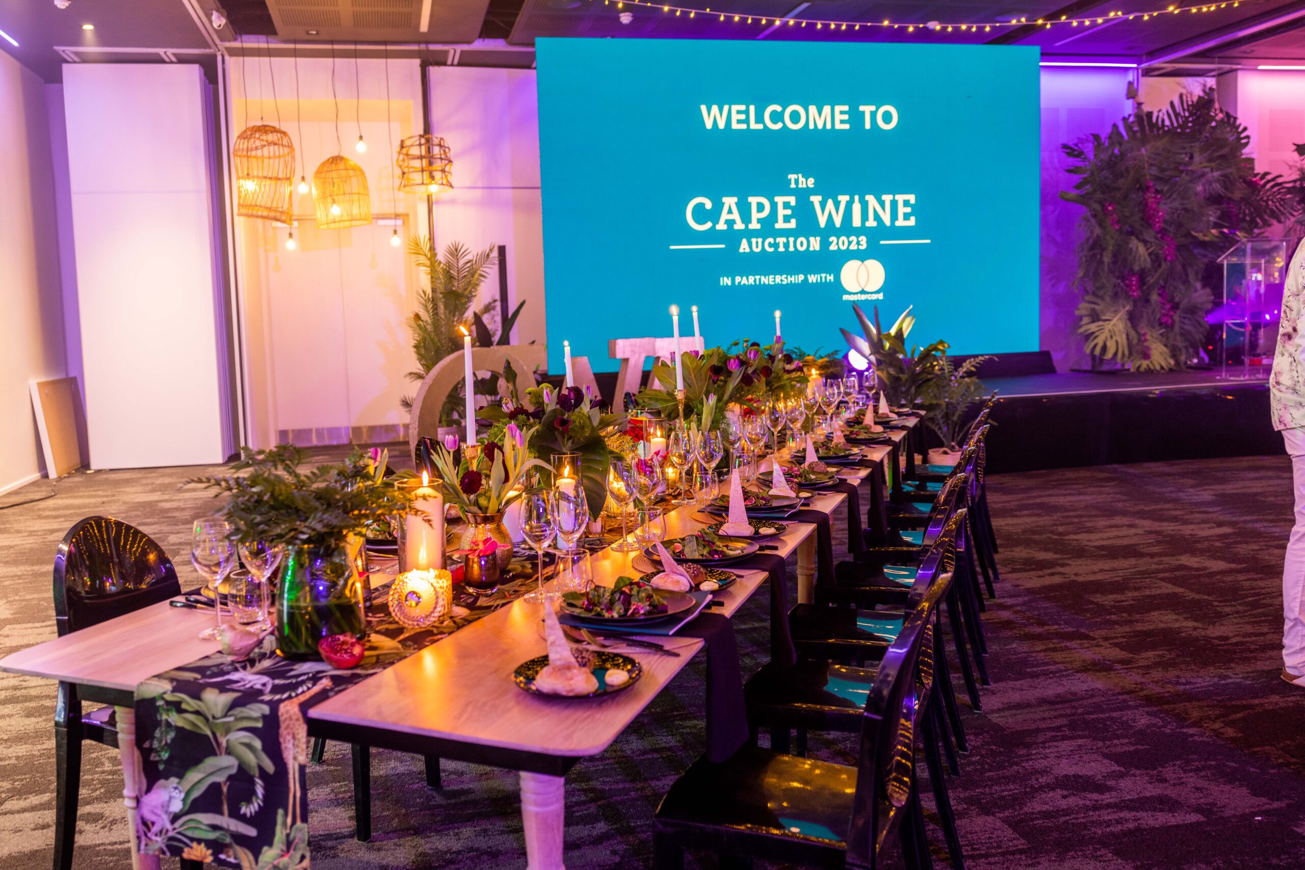 Cape Wine Auction Results 2024